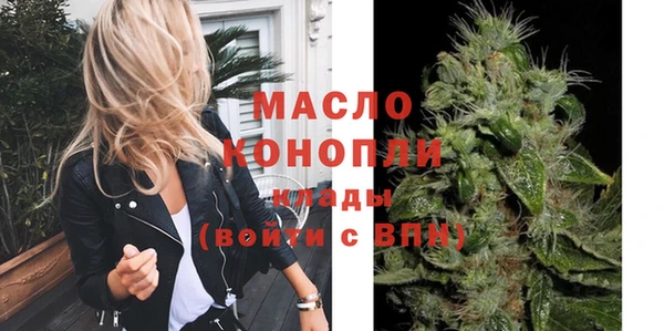 хмурый Арсеньев