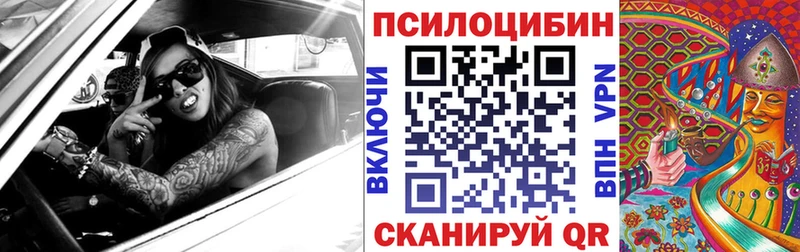 где купить наркоту  МЕГА ССЫЛКА  Псилоцибиновые грибы Psilocybe  Ревда 